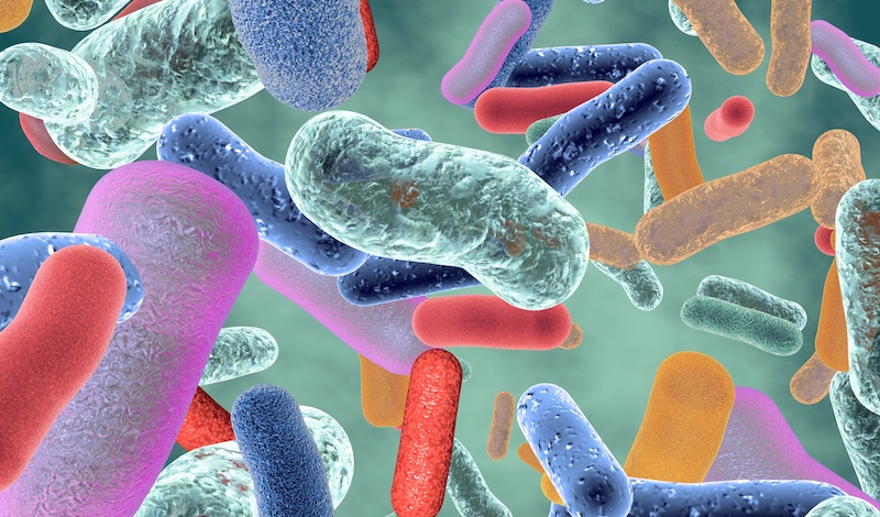 Good gut bacteria